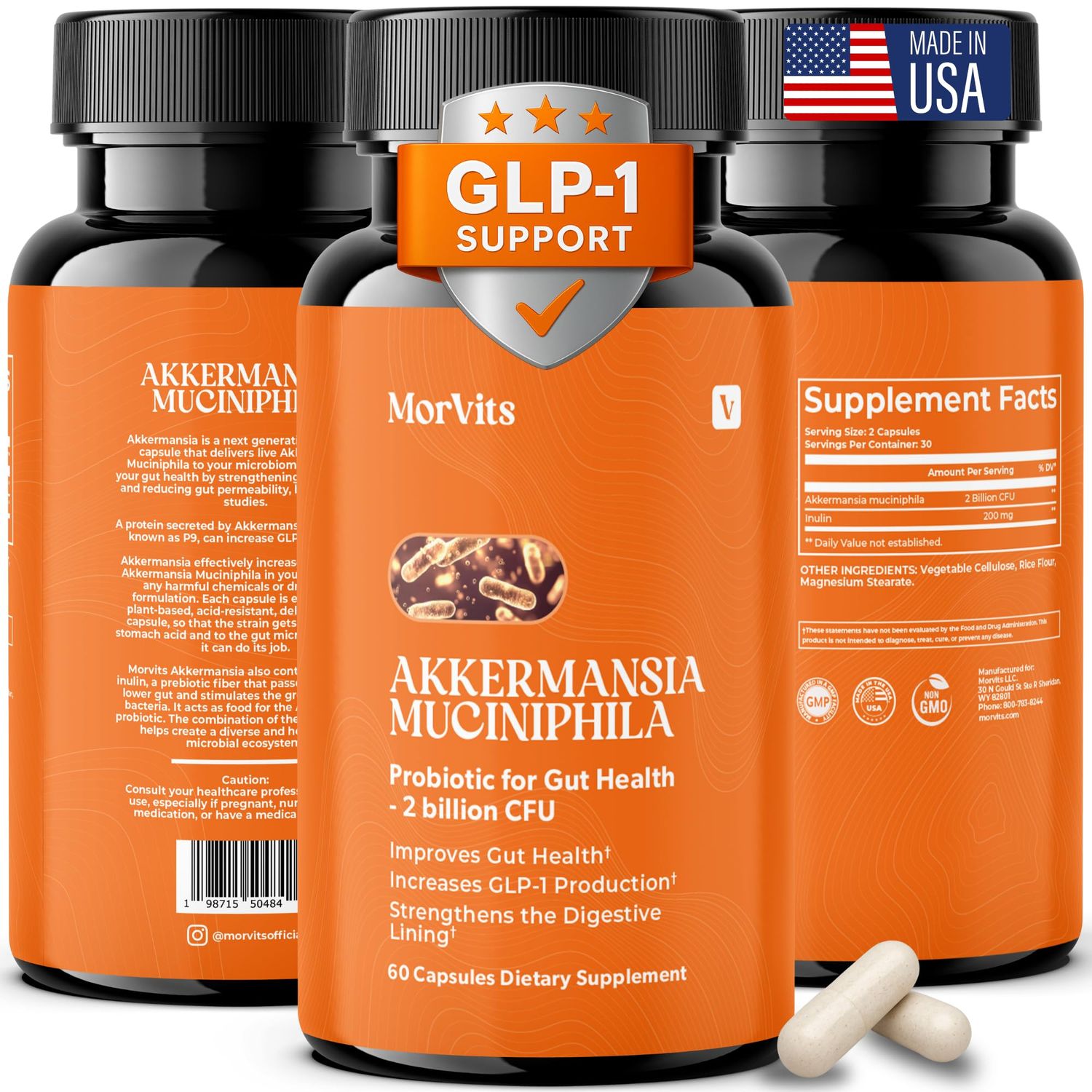 Akkermansia Probiotic GLP-1 Supplement for Gut Health, Akkermansia Muciniphila, 2 Billion CFU Live Strain for Men Women (60 Capsules, 1-Pack) - Inulin Prebiotic Fiber, Increases GLP1 Production