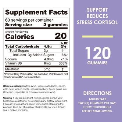 Nature's Key Melatonin Gummies for Kids Adults, 2.5mg 5mg or 10mg Dose Gummy with Vitamin B6, Natural Blueberry Flavor 120 Ct