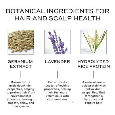 ZENAGEN Volume Foam Lightweight Densifier Volumizer, Boosts Hair Volume Thickness, Provides Lightweight Hold, Nourishes Strengthens Hair, Non-Greasy Plant-Based, Vegan, All Hair Types, 1.7 oz