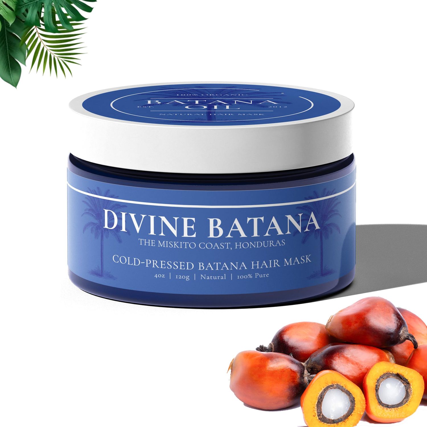 100 COLD-PRESSED (Unscented) Batana Oil - Thicker, Fuller Hair! Fights Thinning Promotes Growth. A Hair Scalp &#39;SUPERFOOD&#39;! Repairs Damage Rich in Vitamin E.