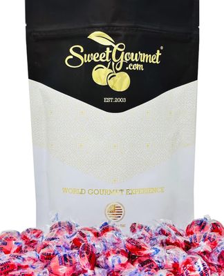 SweetGourmet Sugar-Free Cinnamon Discs Arcor Bulk Hard Candy 1 Pound