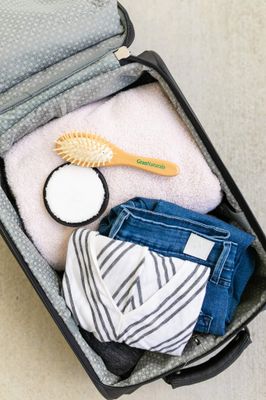 Small Hair Brush for Purse - Wooden Bristle Detangler Hairbrush For Detangling Women, Men Kids Wet or Dry Hair - Natural Wood Handle Bristles - Travel Size and Fits in Pocket or Purse