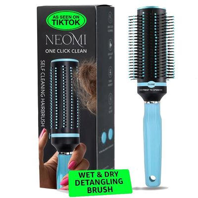 Self Cleaning Hair Brushes for Women - Detangler Brush Comb - Round Brush for Blow Out Roller Retractable Hairbrush for Wet or Dry Hairs - Mint Birthday Gifts