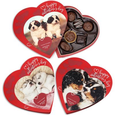 Sampler Assorted Valentine&#39;s Chocolate Heart Gift Box - 3 Pack Milk Dark Chocolate Assorted Truffles - Fancy Pet Heart Gift Box (Design May Vary)
