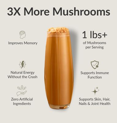 BIOptimizers Mushroom Coffee Alternative - Salted Caramel Drink - Lions Mane, Chaga, Reishi Collagen Peptides for Focus, Energy Gut Health - Adaptogenic Mushrooms MCT Powder - 30 Servings