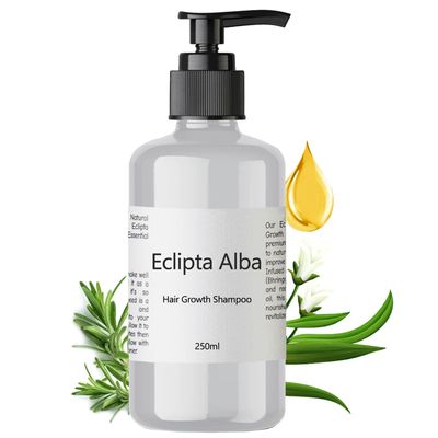 Eclipta Alba Shampoo for Hair Growth, Organic Bhringraj Oil Infused, Strengthens Nourishes Hair Roots, Hydrates, Prevents Hair Loss, Safe for All Hair Types - 250ml