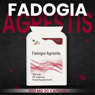 Ved Fadogia Agrestis, 20:1 stem Extract, Muscle Growth - Muscle Recovery - Athletic Performance 90 Capsules (3 Months Supply)