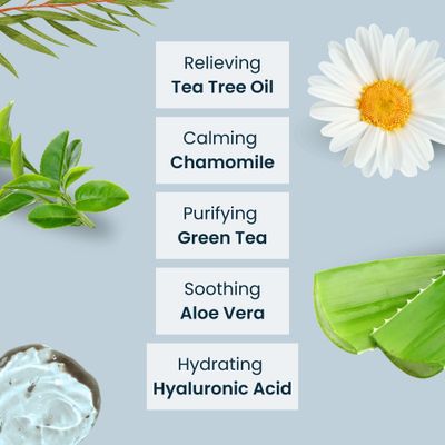 NOVEHA 120Pcs Tea Tree Oil Eyelid Lash Wipes With Hyaluronic Acid, Green Tea Chamomile For Blepharitis Itchy Eyes, Individually Wrapped Eyelash Wipes, Natural Makeup Remover Cleanser (2 Pack)