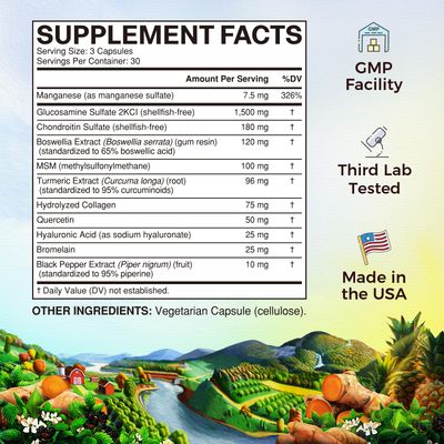 Vitalitown Glucosamine Chondroitin MSM, Turmeric, Collagen, Hyaluronic Acid, Boswellia, Quercetin, 11-in-1 Formula, Glucosamine Sulfate 1500 mg, No Shellfish, Flexibility Comfort, 180 Caps