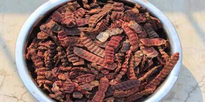 OnMexa Shikakai Pods 1kg - Natural Whole Acacia Concinna Herbal Shikakai for Hair Wash, Scalp Cleanser, Ayurvedic Hair Care Shampoo Treatment