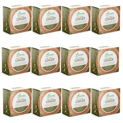 Solid Shampoo Bar And Conditioner Effect Hair Soap - 12 Pack Natural Shampoo Bars For Hair With Plant Based Essential Oils And Eco Friendly Zero Waste Biodegradable Packaging (Ginger Pack Of 12)