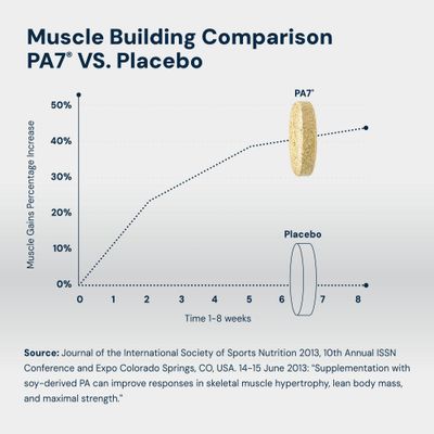 HPN PA(7) Phosphatidic Acid Muscle Builder Top Natural Muscle Builder - Boost mTOR Build Mass and Strength from Your Workout 10 Day Supply