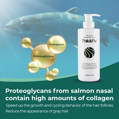 ThikFix Hair Thickening and Growth Shampoo for Women - Restores Growth Cycle, Effective Hair Loss Treatment (15.2 fl oz)