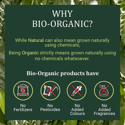 Indus Valley Bio Organic Natural Henna Hair Color For Grey Hairs -100gm (Herbal Henna Indigo leaf Powder)