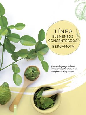 Hair Growth Shampoo Bergamota 1lt. Florigan (1 unit)