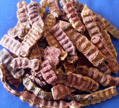 Shikakai Acacia Concinna Fruit Pods Ancient Shampoo Hair Cleanser 500gm - 1.1 Lb by Shikakai