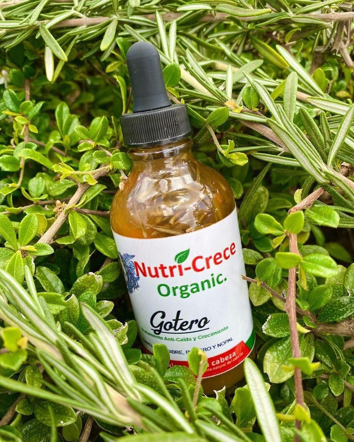 Gotero anti caida y crecimiento organico, suero capilar reconstructivo anti caspa, locion nutriva para rejuvenecer el foliculo piloso (hair growth, hair loss) a base de plantas naturales