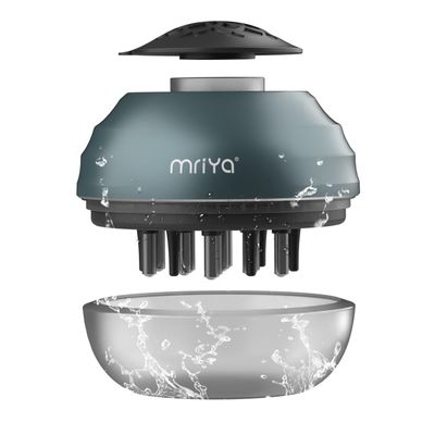 Scalp Massager Comb for Hair Growth, Treatment Essential Oil Application - Medicine Dispenser, Fluid Applicator