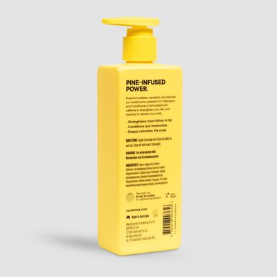 TOOLETRIES 2-in-1 Coastal Pine Men's Shampoo and Conditioner - Pine Scented Hair Wash with Menthol and Caffeine to Promote Hair Growth, Sulfate and Paraben Free - 10.1 oz 300ml