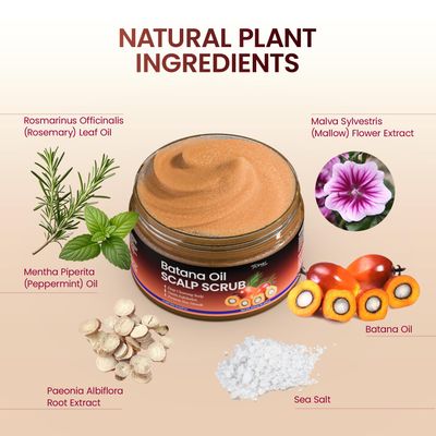 Batana Oil Scalp Scrub: Itchy Scalp Relief Dandruff Shampoo 2 in 1 Shampoo Exfoliating Scalp Exfoliator for Women Men 300ml 10.23floz