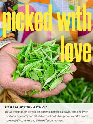 TeeLux Matcha Green Tea Bags, Classic Premium Japanese Matcha Sencha Green Tea, Super Antioxidant, Zero Calories, Caffeinated, 100 Count