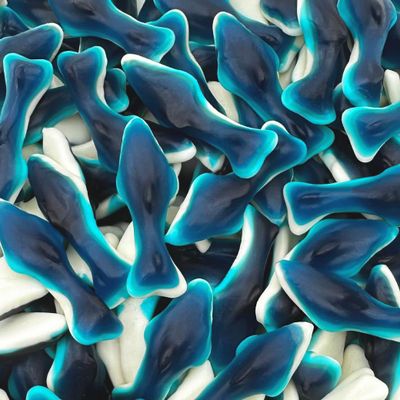 Blue Sharks Gummy Candy 2-Pound Bag Blue Raspberry and Marshmallow Flavors