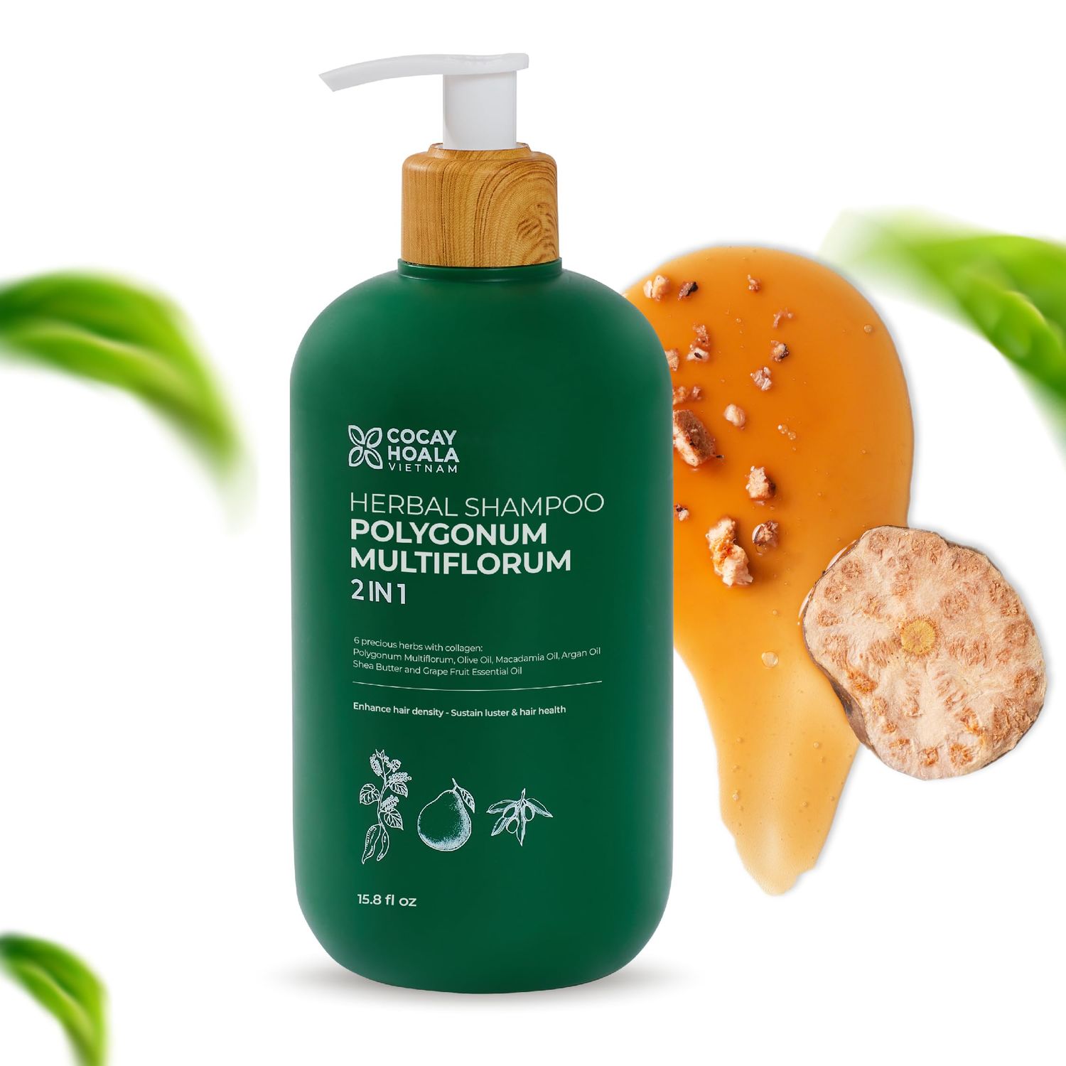 Polygonum Multiflorum Extract Hair Growth Shampoo, He Shou Wu Shampoo for Thinning Hair for Women Natural Treatment for Gray Thicker Hair, Paraben Free, 15.8oz