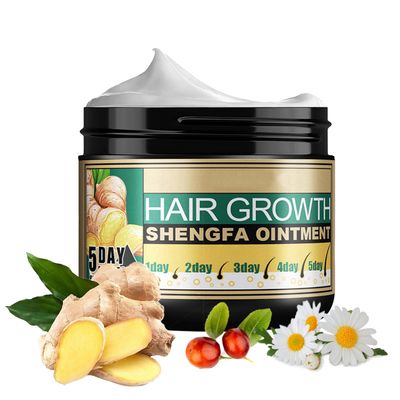 Hotiary Ginger Hair Growth Ointment Hair Regrowth Treatment Cream Moisturizing Scalp Massage Hair Follicle Hair Care Serum Essence Conditioner 3.34 oz (3.34 oz(Pack of 1))