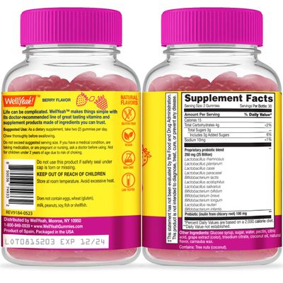 WellYeah (2 Pack 25 Billion Probiotics Prebiotics for Men and Women Gummies - Digestive Support, Gut Health, Immune Support Gummy - Probiotics for Digestive Health with 12 Strains - 60 Gummies