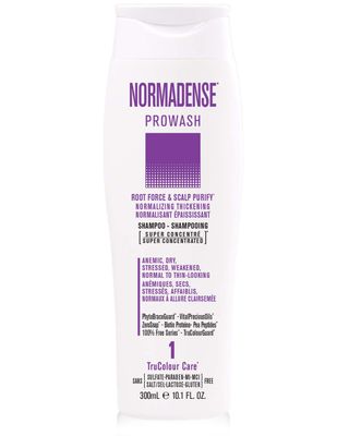 NORMADENSE 1 Vegan Biotin Shampoo, Normalizing, Thickening, Strengthening Shampoo for Thin-Looking Hair with Argan Oil, Ceramides, Niacinamide and Biotin