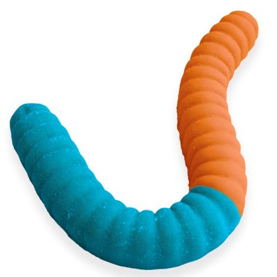 Sour Giant Gummy Worm - Large 2 Pound Gummy Candy with Big Tangy Flavor from GGB Candies (Blue RaspberryOrange)