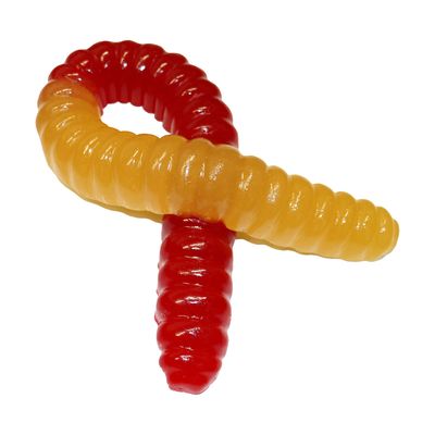 The Gummy Bear Guy World&#39;s Largest Gummy Worm - (CherryPineapple)