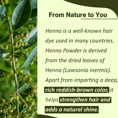 mi nature Henna Powder (Lawsonia inermis) for Hair Dye Natural Hair Color Henna Mehandi Powder for Hair from Rajasthan No Added Presevative 1kg (35.27Oz) (1000 Gram)