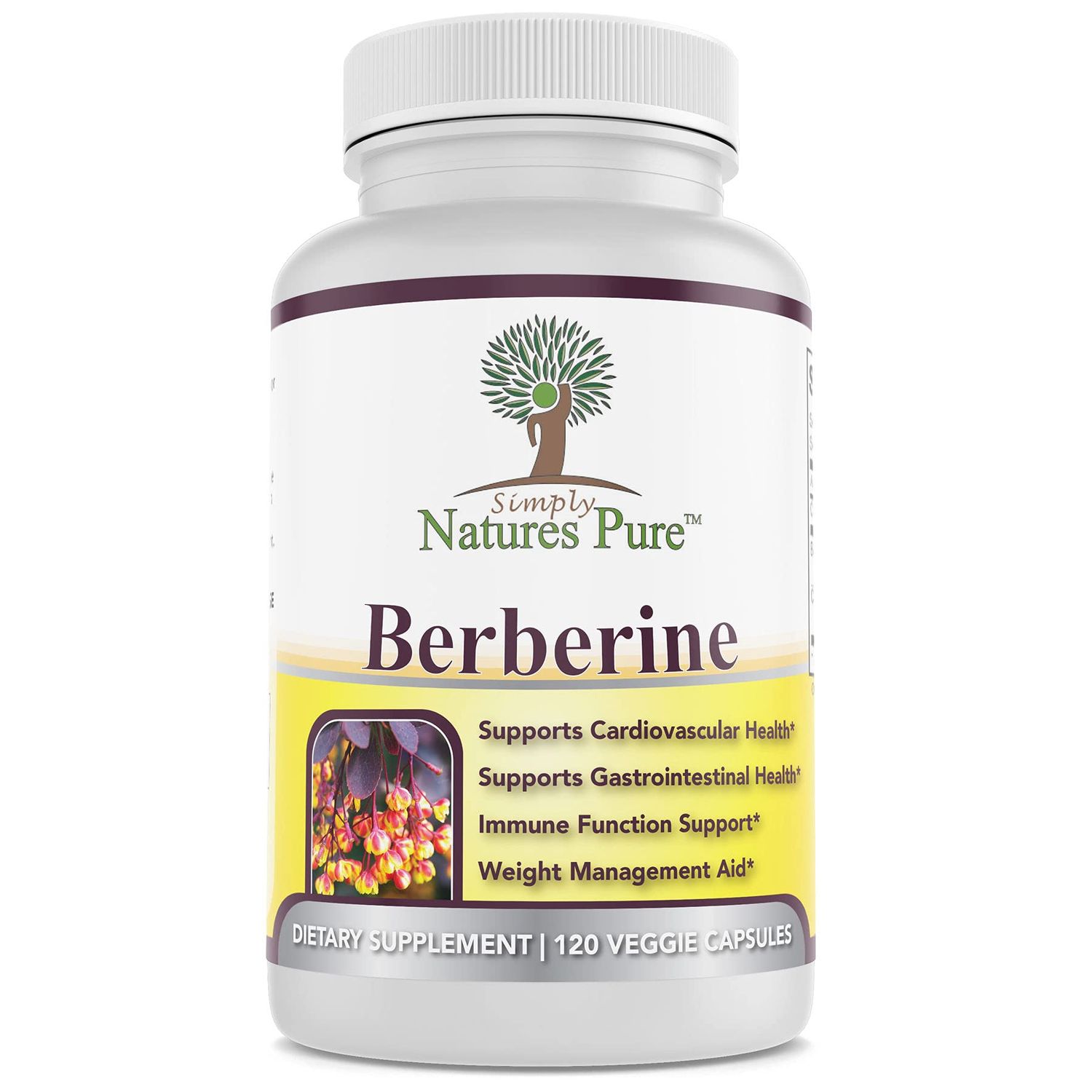 Simply Natures Pure Premium Berberine HCl 500mg - 120 Capsules - Cardiovascular Gastrointestinal Immune Support - Chromium Cinnamon