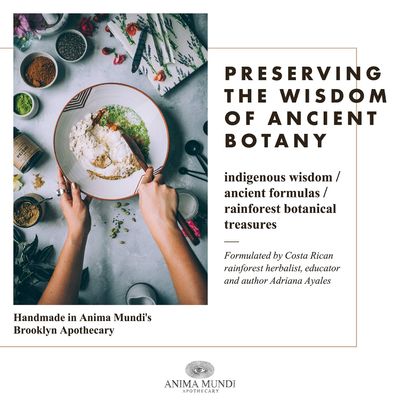 Anima Mundi Apothecary Lions Mane Brain Tuner Mushroom Powder - Organic Lions Mane Extract Powder for Cognitive Support - Organic Mushroom Powder Supplement 5oz 141g