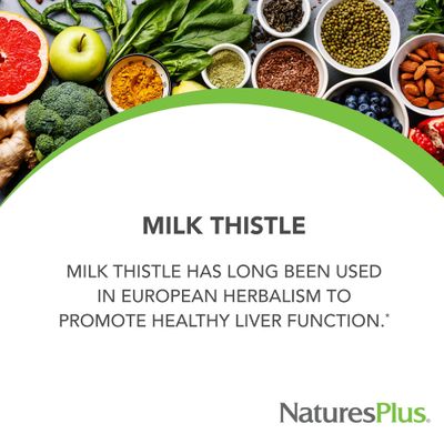 Natures Plus Herbal Actives Milk Thistle - 250 mg, 80 Silymarin, 60 Vegan Capsules - Vegetarian, Gluten-Free - 60 Servings