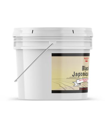 Unpretentious Japonica Black Rice, 1 Gallon, Good Source of Fiber, Nutty Flavor