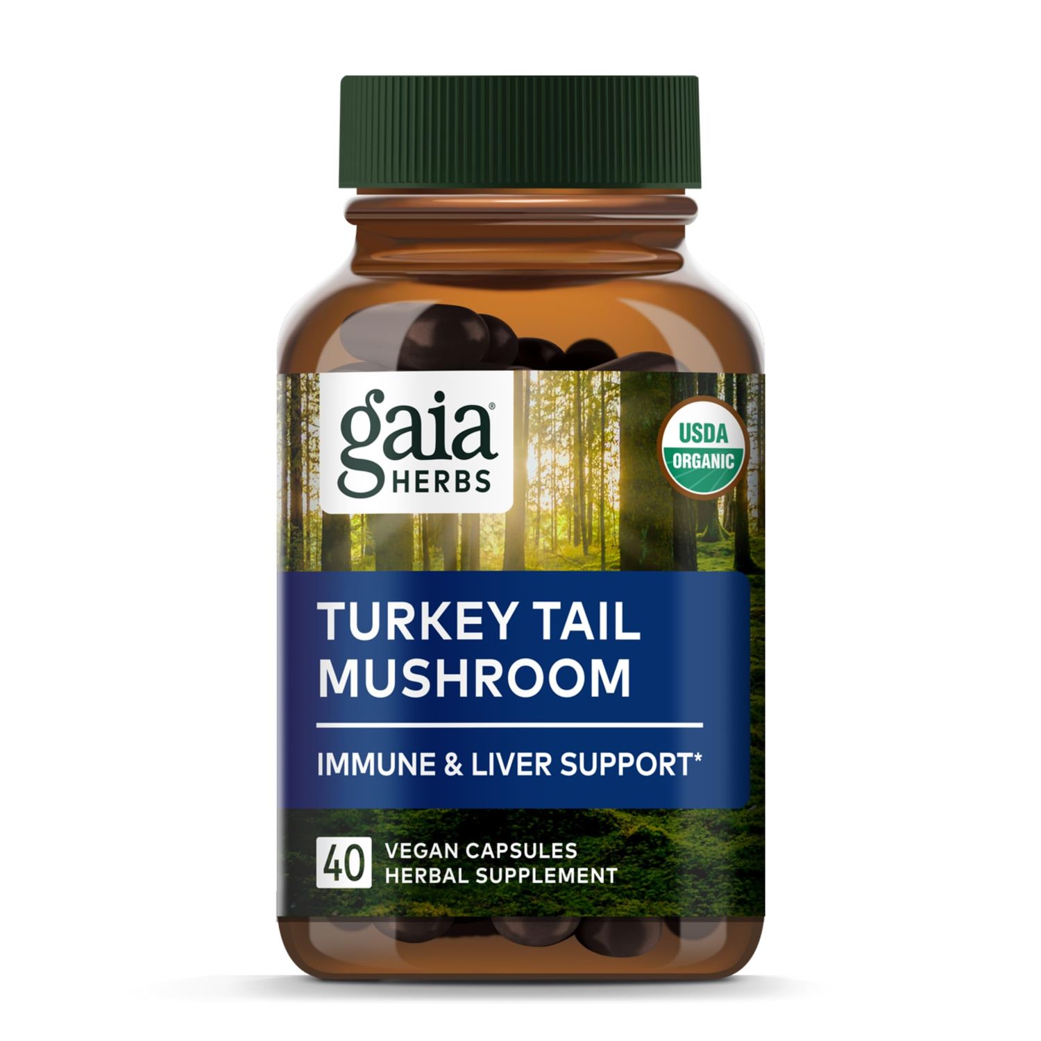 Gaia Herbs Turkey Tail Mushroom - Immune Support Supplement to Help Maintain Liver Health - with Organic Turkey Tail Mushroom Fruiting Body Extract - 40 Vegan Capsules