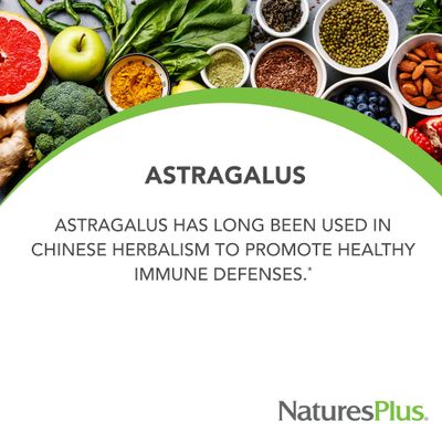 NaturesPlus Herbal Actives Astragalus - 60 Capsules - Immune System Support - Vegan, Gluten Free - 60 Servings