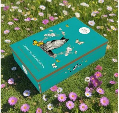 La Sablesienne, Langues de Chat Patissieres Cat Tongues Decorative Tin of Traditional Pastry Gourmet Cookies, 5.6 oz