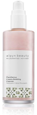 Alpyn Creamy Bubbling Cleanser with Fruit Enzymes &amp; AHA&#39;s Removes Makeup, Dirt &amp; Grime, Refines the Look of Pores, Dissolves Excess Oil, Gently Exfoliates Dead Surface Cells 4 oz 118 ml