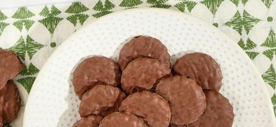 Fudge Mint Cookies, Peppermint Chocolate Covered, Great Snack Snacking Food Dessert Treat, 10oz Value Bag