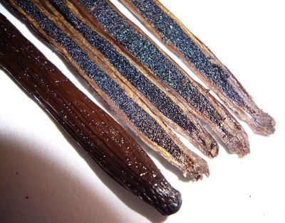 10 Mexican Vanilla Beans Whole Grade A Gourmet Vanilla Pods for Homemade Vanilla Extract and Baking from Veracruz, Mexico
