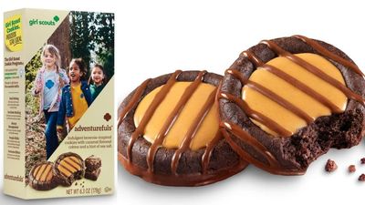Girl Scouts Cookies, Adventurefuls, 16 cookies per box 4 Pack
