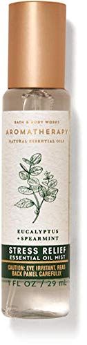 Bath and Body Works Body Care Aromatherapy -TRAVEL SIZE - Essential Oil Mist 1 fl oz - Many Scents! Stress Relief - Eucalyptus Spearmint