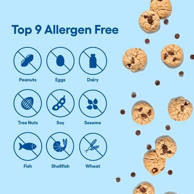 Gluten Free Crunchy Chocolate Chip Mini Cookie Snack Packs by Partake Vegan, Peanut Free, Egg Free, Wheat Free, Soy Free Allergy Friendly Cookies Safe for School and Office Snack - 20 Packs