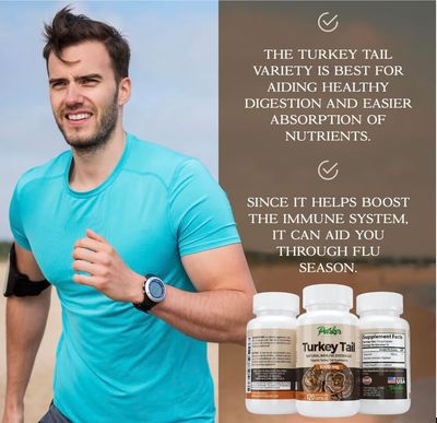 Parker Naturals Turkey Tail Mushroom Capsules - Organic Mushroom Supplement for Immune System Health Support - 1000 mg Premium Supplements - 120 Capsules