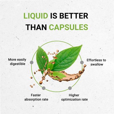 Secrets of the Tribe Huang Qin Alcohol-Free Liquid Extract, Wildcrafted Huang Qin Scutellaria Root, Radix Scutellariae Baicalensis Dried Root Tincture Supplement 4 FL OZ