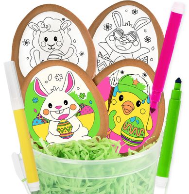 Easter Cookie Decorating Kit Bunny Eggs Basket Gift For Kids Activity 4 Jumbo Egg Coloring Cookies 3 Edible Markers Coloring Arts and Crafts
