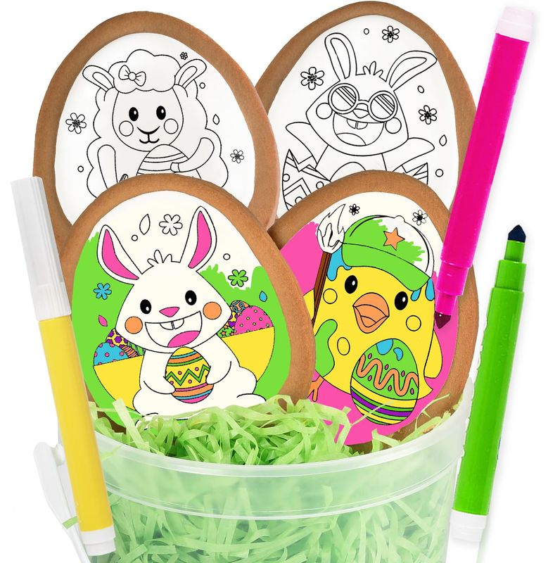 Easter Cookie Decorating Kit Bunny Eggs Basket Gift For Kids Activity 4 Jumbo Egg Coloring Cookies 3 Edible Markers Coloring Arts and Crafts
